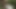 Julia North Quick Anal Fuck In The Forest