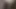 #HAMSTER I SHOWED YOU A SECRET OF MINE, PLEASE DON'T SEE IT 01