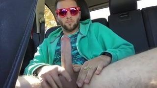 Str8 roze mannen spelen in de auto