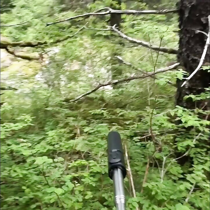 Hiking by a river