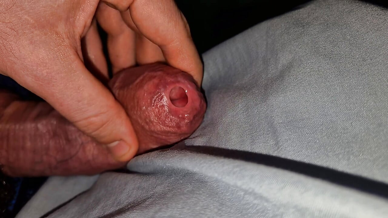 زب ضخم، مليء بالعروق ورطب جداً، قلفة غير مختونة مصابة بالفيموزيس