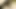 bhabhi ki Desi Hindi video