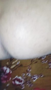 Pratinjau video