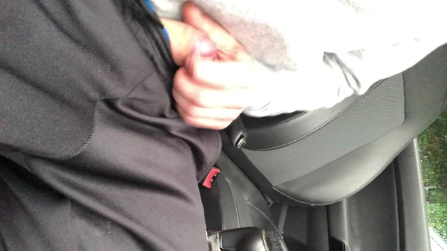 Public Car Masturbation 1.1