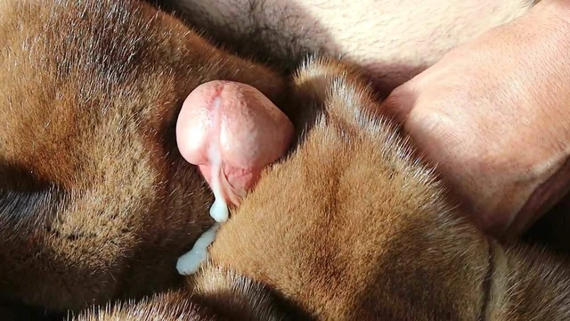 mink fur stroke.mp4