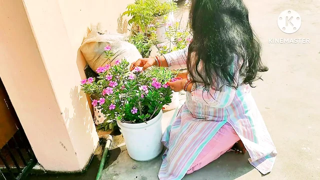 Dever Bhabhi Fuking Hard-core Hindi Audio