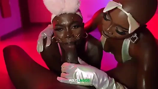 Wildlagos ile kremsi bir cadılar bayramı