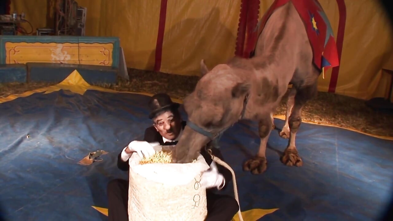 ピアスひよこ肛門きっ