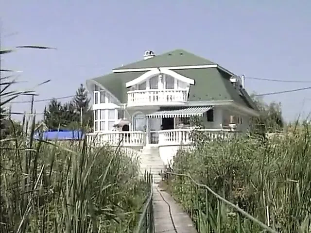 STEP DADDYS PERVERSE SPIELE