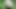 Stranger was with girl in the woods – POV blowjob