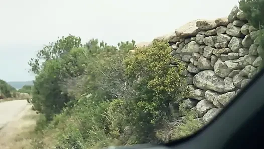 Horny Hitchhiker Give with Her Mouth for the Ride
