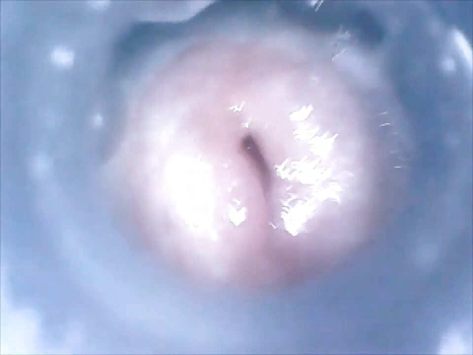 CD Mitch Inside Cum