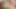 二人のビッチが食べ物でセックスする
