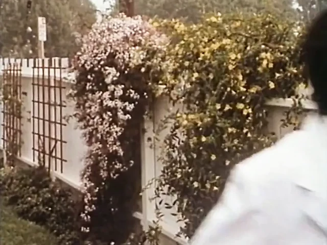 HD VIDEO 121