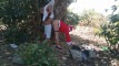 Pregled videozapisa
