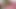 掃除中の女子学生の友達とセックスする(完全版)