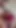 Wife Trained In Hands-Free Blowjob - HANDSFREE CUM