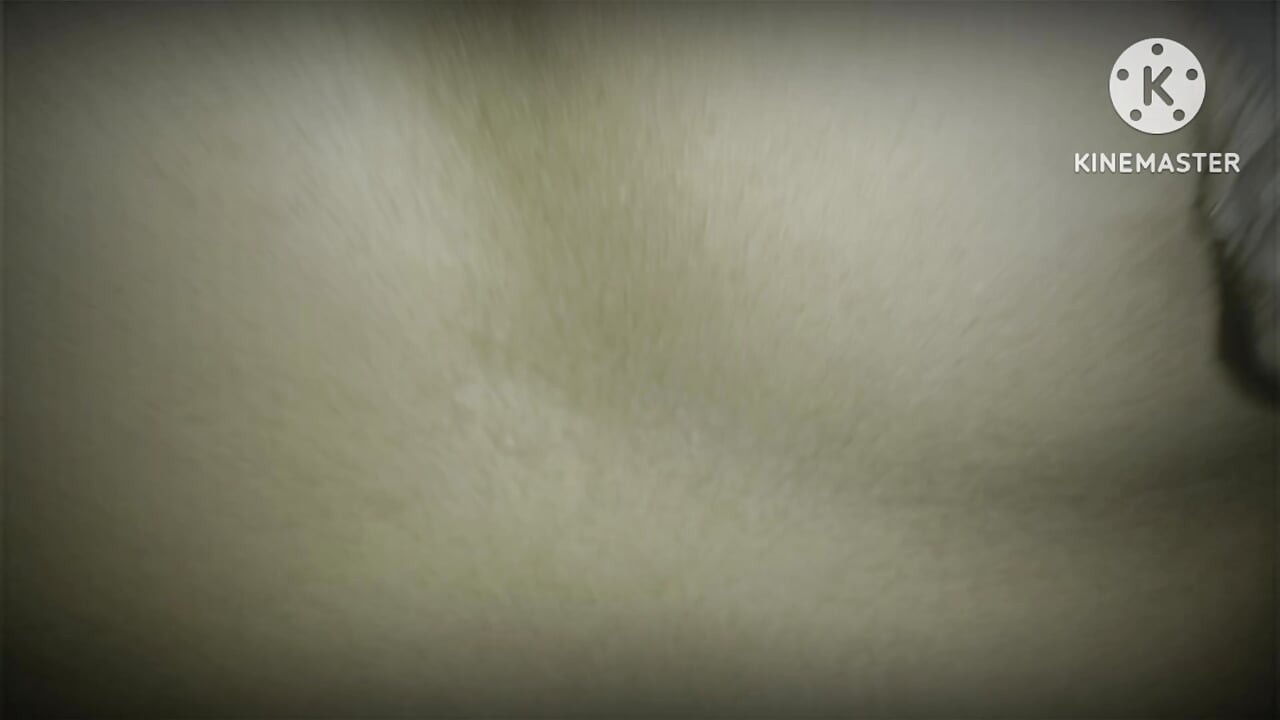 אחות חורגת דסי הודית Xxx