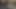 Steno ist wieder zurück