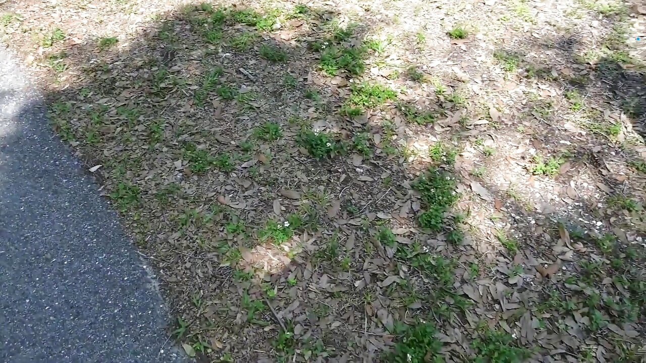 Bts Nature Walk and Masturbation on Trail