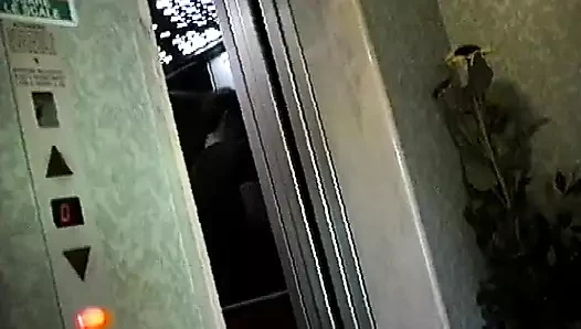 Porche golose Sc 1 lewd anal sex