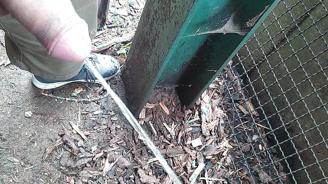 Just pissing
