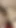 Reel Sex. Öğrenci Ngentot'un amında prezervatifsiz sapık videosu. Endonezya'dan en son porno. Endonezya dili | Klip 1