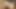 Shay laren striptis dan memamerkan payudara alaminya