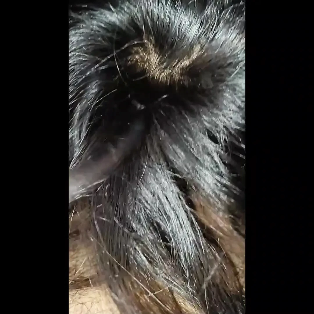 Desi Chamiya - wife,homemade