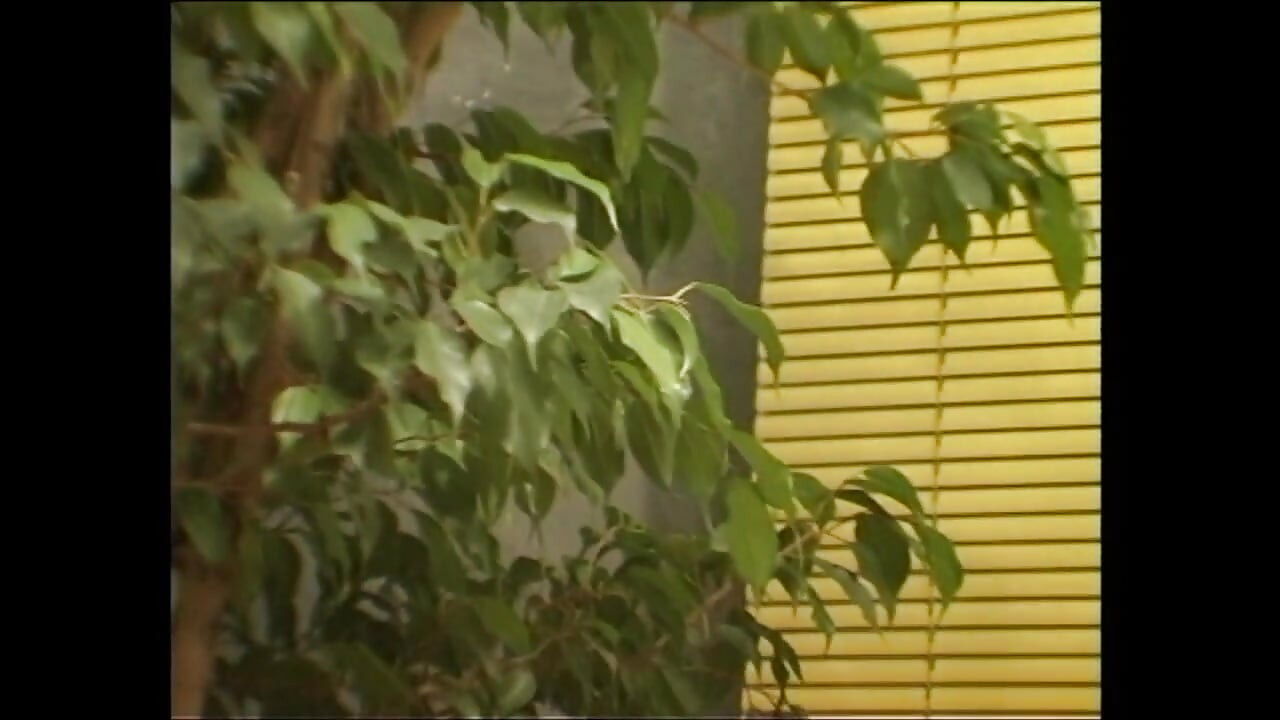 Plavuša Abe analno drka dildom