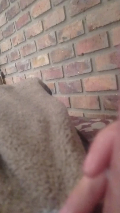 nice ass anal sex and lots of cum hardcore