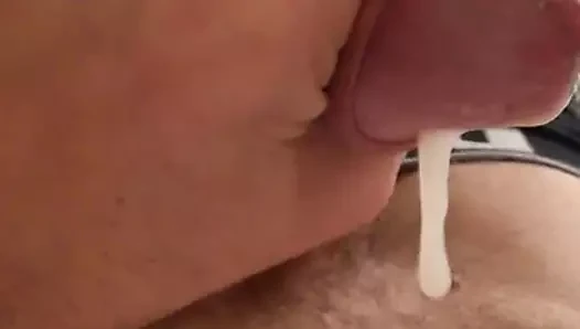 Organik süt isteyen varmı