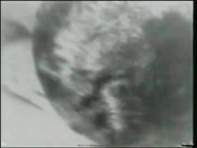 The Neighborhood Whore