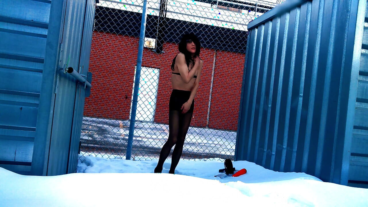 Frozen Meat