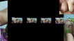 Pregled videozapisa