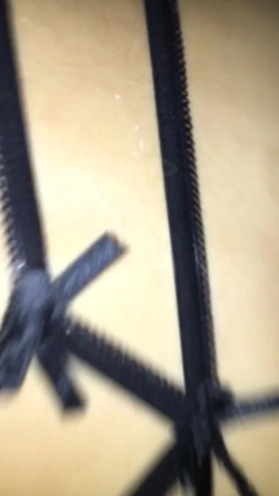 Sis.slut - 2020년 1월 22일