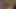 Amatör anal bebek bwc becerdin ve kedi creampied at ev