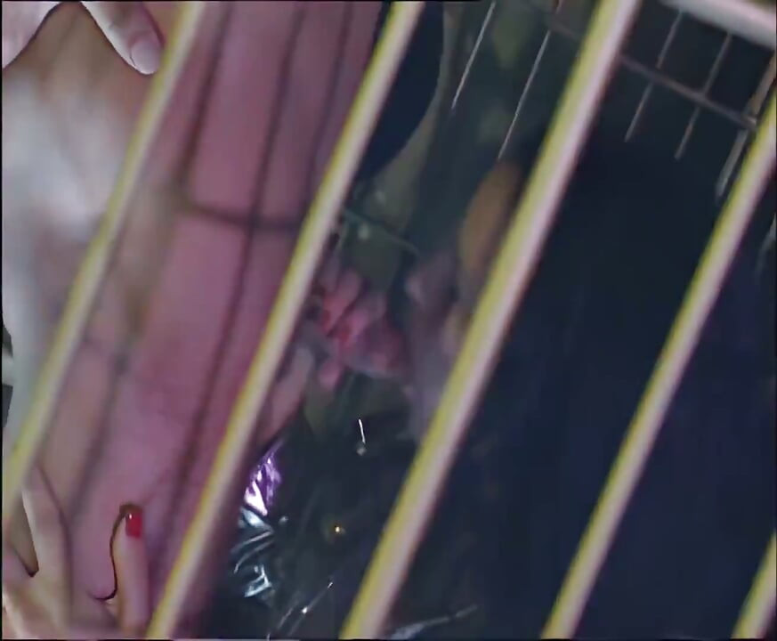 Venere Bianca Fucked in Cage