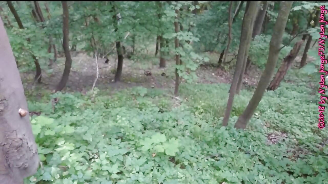 Walk in Tights on the Forest Mountain