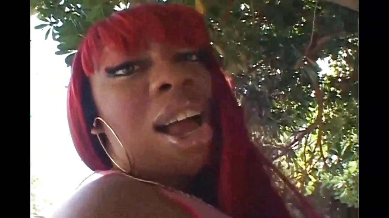 Suck My Cock While My Friend Bangs Your Pussy with His Big Black Dick!!