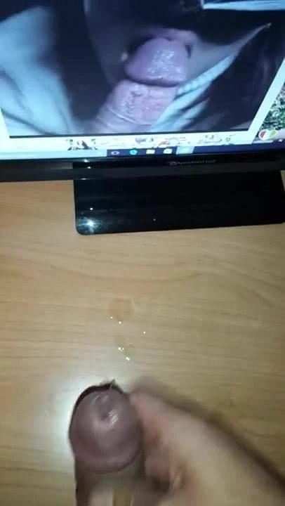 Tributo per una gattina troia