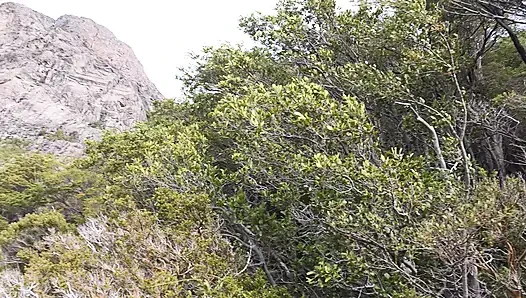 Hiking buddies have sex in the woods