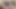 Daddy You Are Nasty Putting Your Cock Near My Assey