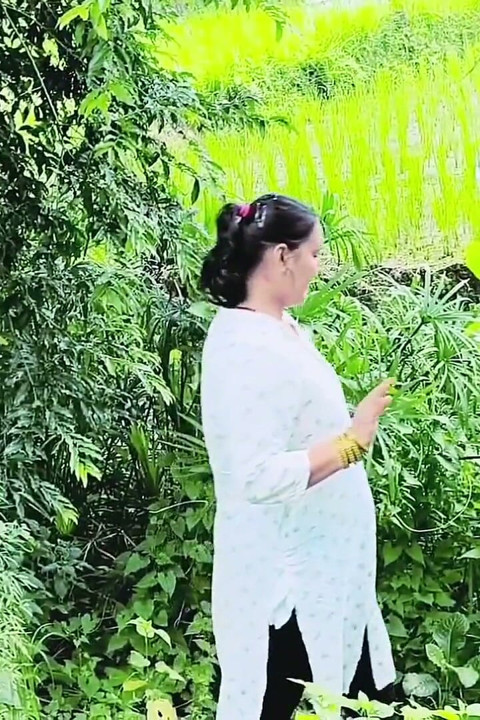 Jungle Mein Mangal Fuck with Strangers in Forest