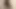sexy trans in 4K