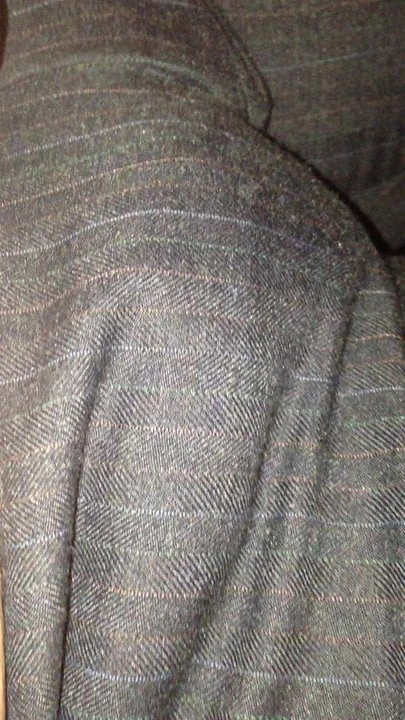 Bulge In Pants