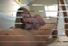 Pratinjau video