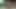 Kadın egemenliği onu amazon pozisyonunda sürmeden ve onu güzel bir döl sonrası sakso çekmeden önce gavatımı emiyor