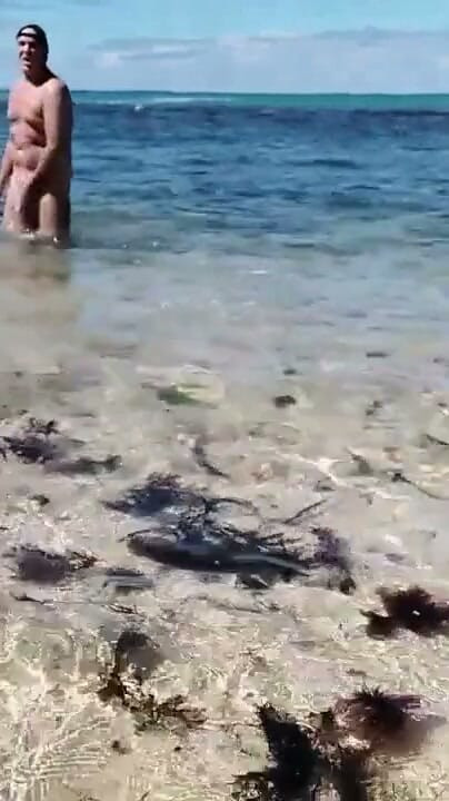 Adeliade Beach | Clip 1