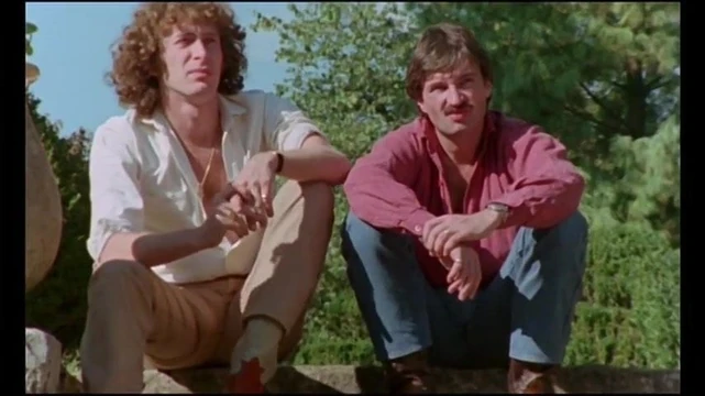 Les Grande Vicelardes (1979)
